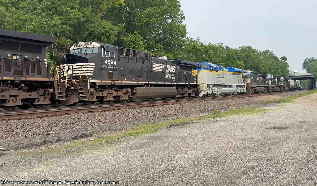 NS 4524